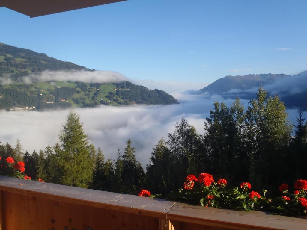 Landhaus Alpenjaeger Hainzenberg Room photo